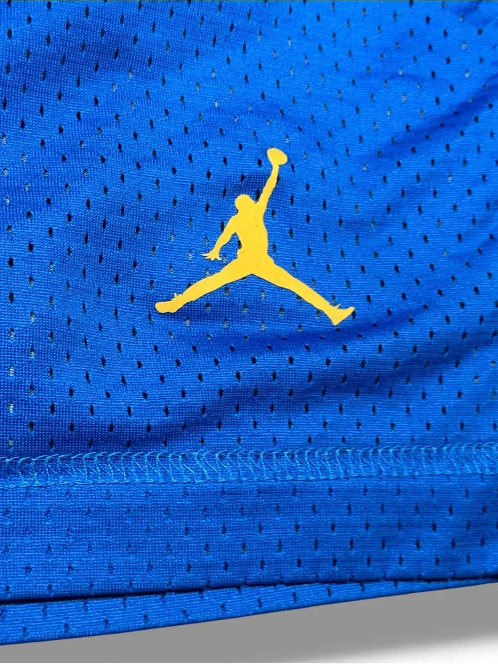 Jordan x UCLA Reversible Basketball Shorts